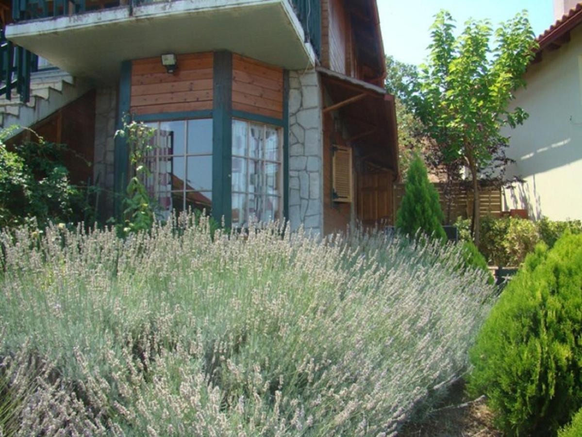 Zeus-Village Οικισμός Φινλανδικών Chalet Με Πισίνες & Γυμναστήριο Molos  Kamer foto